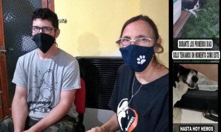 «Hay perros que llegan tan rotos a Reserva, que una caricia para ellos es un maltrato, porque nunca recibieron otra cosa»