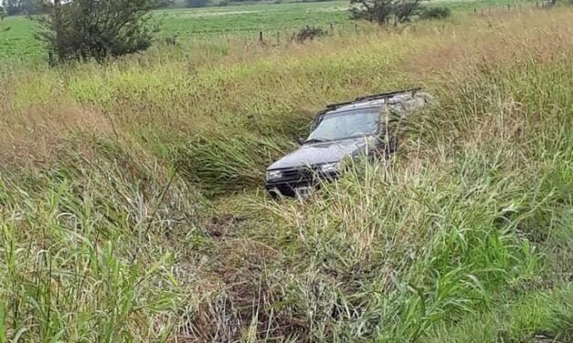 Un auto despistó en Ruta 80