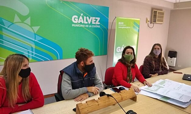 El Municipio explicó los trabajos en el monte de eucaliptus: «Sólo se intervienen los árboles que no son seguros para la población»