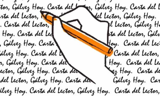 Carta del Lector: un grupo de vecinos nos escribe sobre «¿qué pasa con el espacio verde del Vivero?»