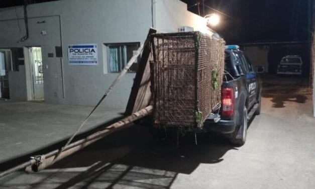 Policiales: esclarecen robo en Gálvez