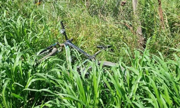 Policiales: esclarecimiento de hurto calificado en Gálvez