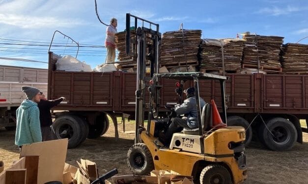 Bingo! «Cartón Lleno» cargó un camión con 7760 kilos