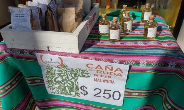Tradición que se toma a sorbitos: Pinquén vende la caña con ruda