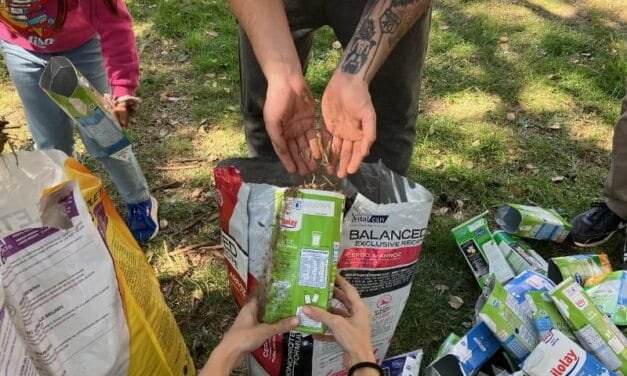 Ecologistas de la ciudad organizaron una jornada de siembra