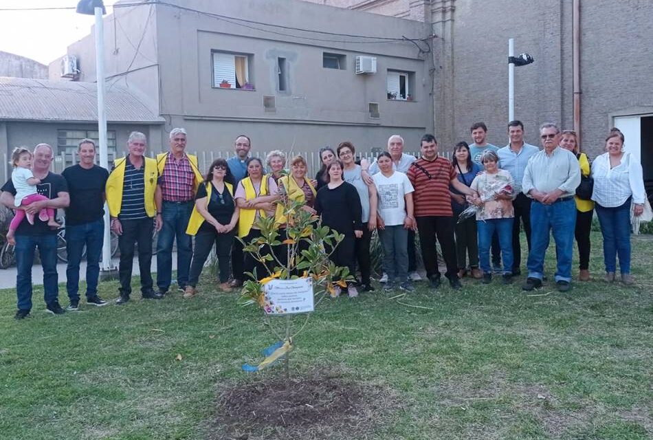 Club de Leones Gálvez: plantaron un árbol en la plaza, en recuerdo a María José Ochogavía
