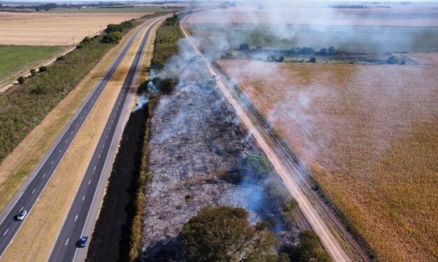 Bomberos trabajó en un incendio de pastizales en la autopista Santa Fe-Rosario