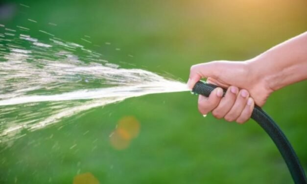 Vuelven las jornadas con altas temperaturas y recomiendan el uso responsable del agua