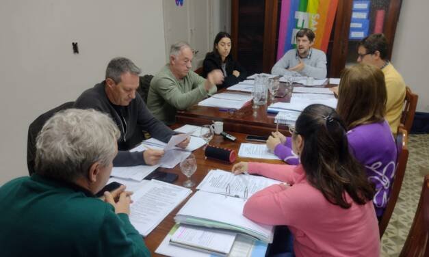 Concejo: el aumento de tasas quedó para extraordinarias