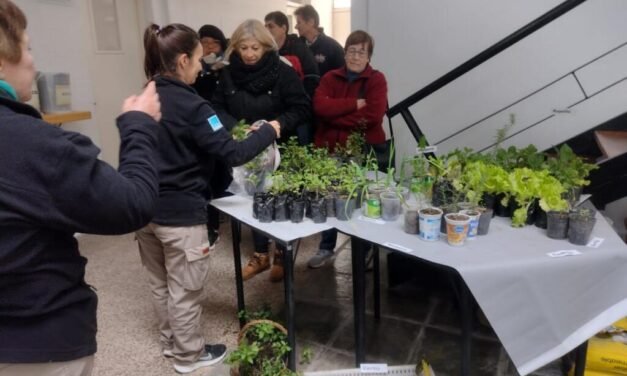 El CeDA entregó más de 400 plantines