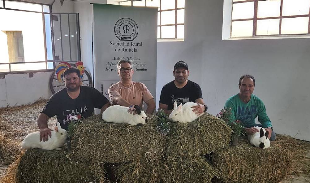 Cría de conejos: expositor galvense logró 3 primeros premios en la Rural en Rafaela