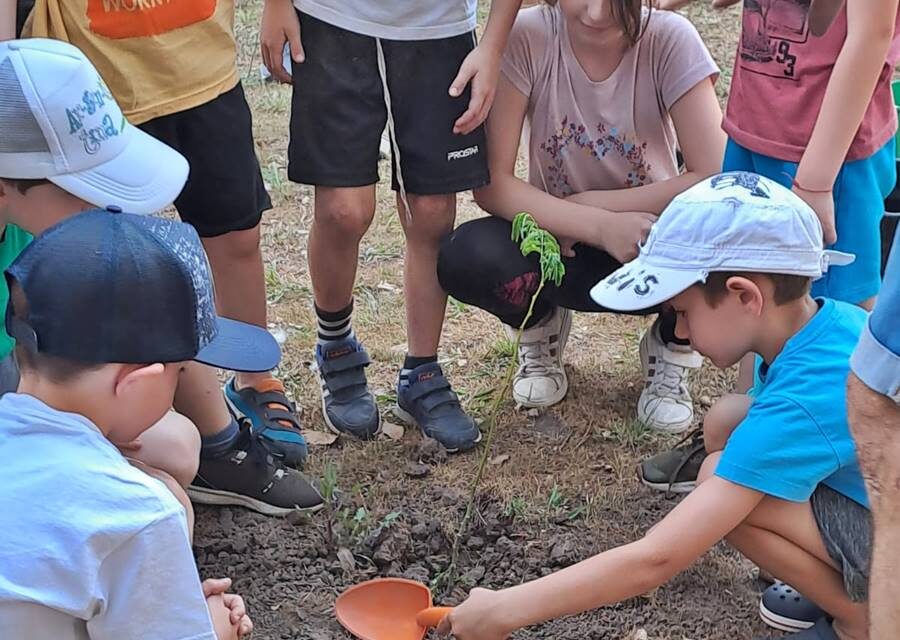 Plantaron árboles nativos en la Fundación Mollenkopf