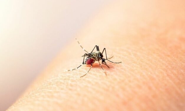 Recomendaciones para prevenir el dengue