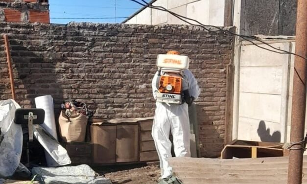 Dengue: el Municipio trabaja en bloqueos preventivos e insiste en la limpieza de patios