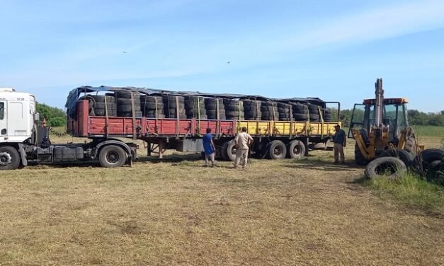 El Municipio realizó el primer envío de Neumáticos Fuera de Uso (NFU)