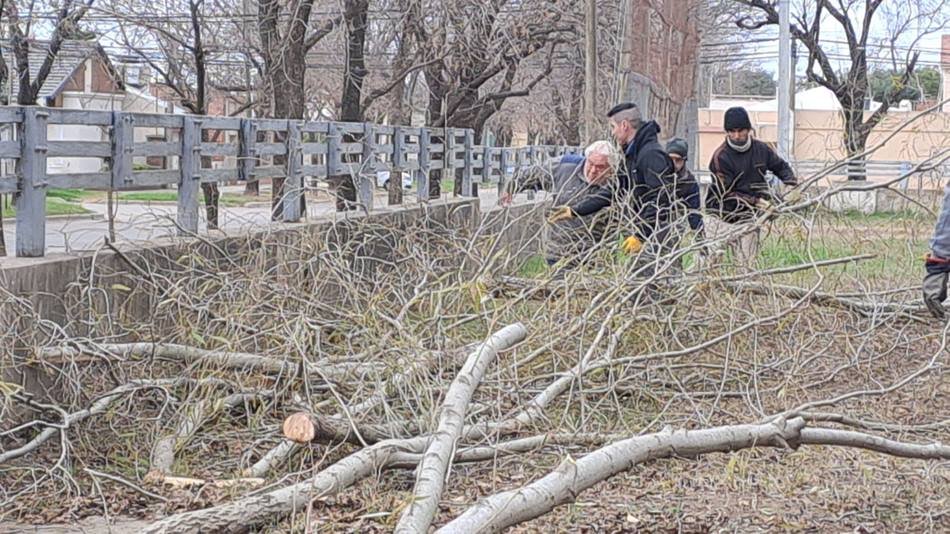 EETP Nro. 456: Cooperadora y profes trabajaron en poda de árboles y hermoseo del predio