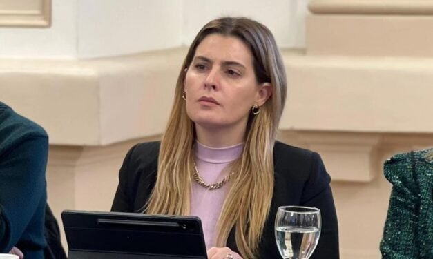 LA CÁMARA BAJA EXPRESÓ SU APOYO A LA DENUNCIA DE LA DIPUTADA CATTALINI CONTRA EL JUEZ BAILAQUE