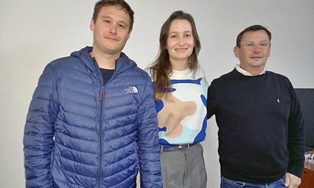 «GRUPO ARCE»: tres unidades de negocio para un mejor servicio al cliente
