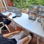 Se rindió en Gálvez, el examen regional para jueces de aves exóticas