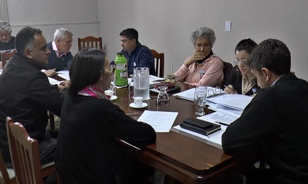 Concejo Municipal: qué dijeron los ediles tras la sesión de este jueves, que quedó inconclusa