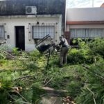 Cómo siguen los trabajos tras la fuerte tormenta que se abatió en la ciudad