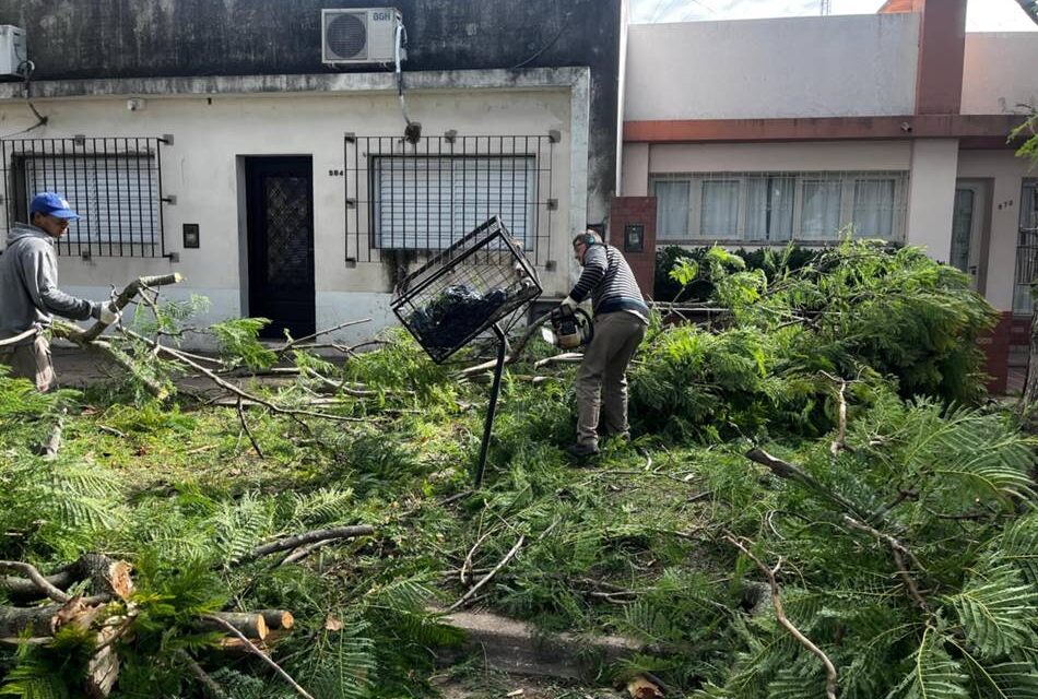 Cómo siguen los trabajos tras la fuerte tormenta que se abatió en la ciudad