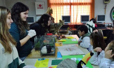 Alumnos de la Escuela N° 6034 visitaron la Escuela de Comercio, preparándose para su Feria de Ciencias