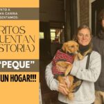 HOY «LA PEQUE» TIENE UNA NUEVA OPORTUNIDAD PARA SER FELIZ!!!