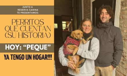 HOY «LA PEQUE» TIENE UNA NUEVA OPORTUNIDAD PARA SER FELIZ!!!