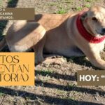 «SÓLO QUIERO LLENAR UN PEDACITO DE TU ALMA!!!»… ¡Ya basta! hoy nos dice Ruperto