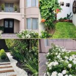 El invierno, época ideal para diseñar y empezar a trabajar en tu jardín