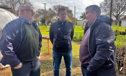 Municipio: encuentro de trabajo con Ambiente Provincial en el Vivero