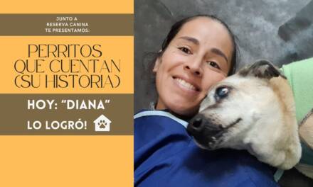 «No hay mejor sensación que llegar a casa y ser recibido por un colita feliz»