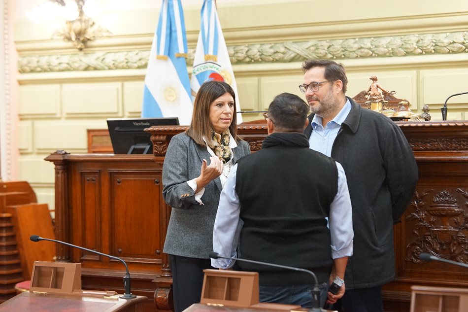 CLARA GARCÍA SUPERVISÓ LAS TAREAS DE ADECUACIÓN REALIZADAS EN LA CÁMARA BAJA PARA LA CONVENCIÓN CONSTITUYENTE