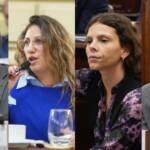 Reforma constitucional e Inteligencia Artificial: El Partido Socialista pone a disposición su propuesta en una plataforma inteligente