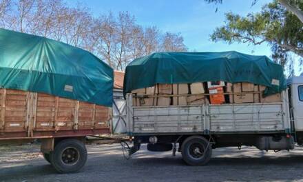 «Cartón LLeno»: casi 9.000 kilos de cartón y papel para el segundo camión que cargan en su nuevo lugar