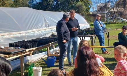 Municipio: jornada en honor a la Madre Tierra trabajando en el Vivero junto a agrupaciones ambientalistas