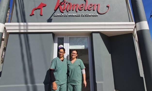 6 de agosto, Día del Veterinario: «Cuando abrís la puerta y el animal entra contento, es una de las satisfacciones más grandes»