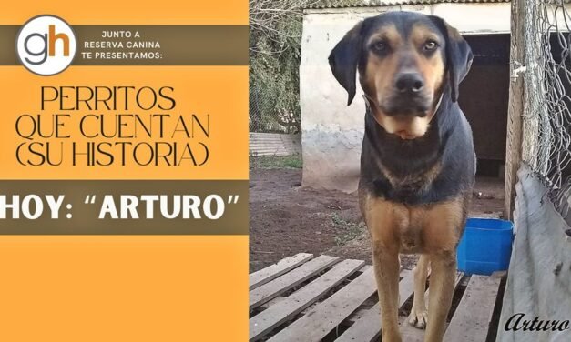 «Adoptar un perro adulto, es poder demostrarle que la espera valió la pena»