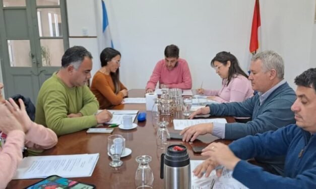 Concejo Municipal: proyectos aprobados en la jornada de este jueves