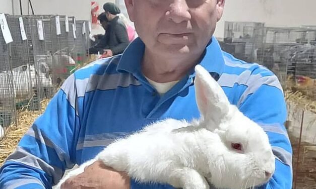 Nuevamente los conejos de la familia Orellano obtuvieron primeros premios en una expo