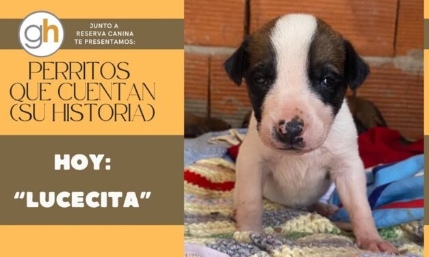 «Toda historia de adopción, empieza con un acto de amor»