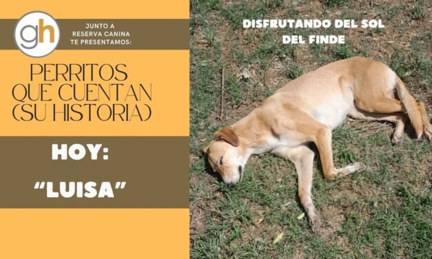 «Hasta que no hayas amado a un animal, parte de tu alma estará dormida»
