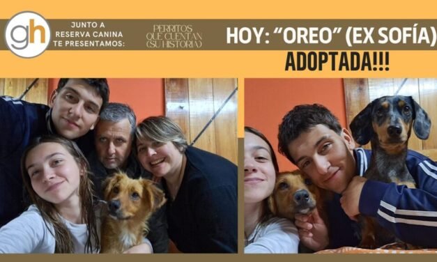 «Las segundas oportunidades nacen cuando abres tu corazón a un mascota de un refugio»