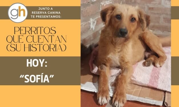 «Cuando necesites una mano, ella te dará una patita»