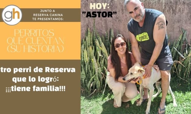 Un perrito que cierra el círculo, una hermosa historia más que contar…