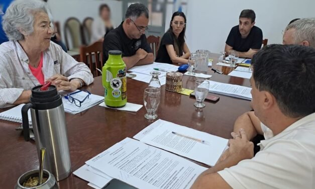 En votación dividida, el Concejo aprobó la sexta cuota de patente para el año próximo