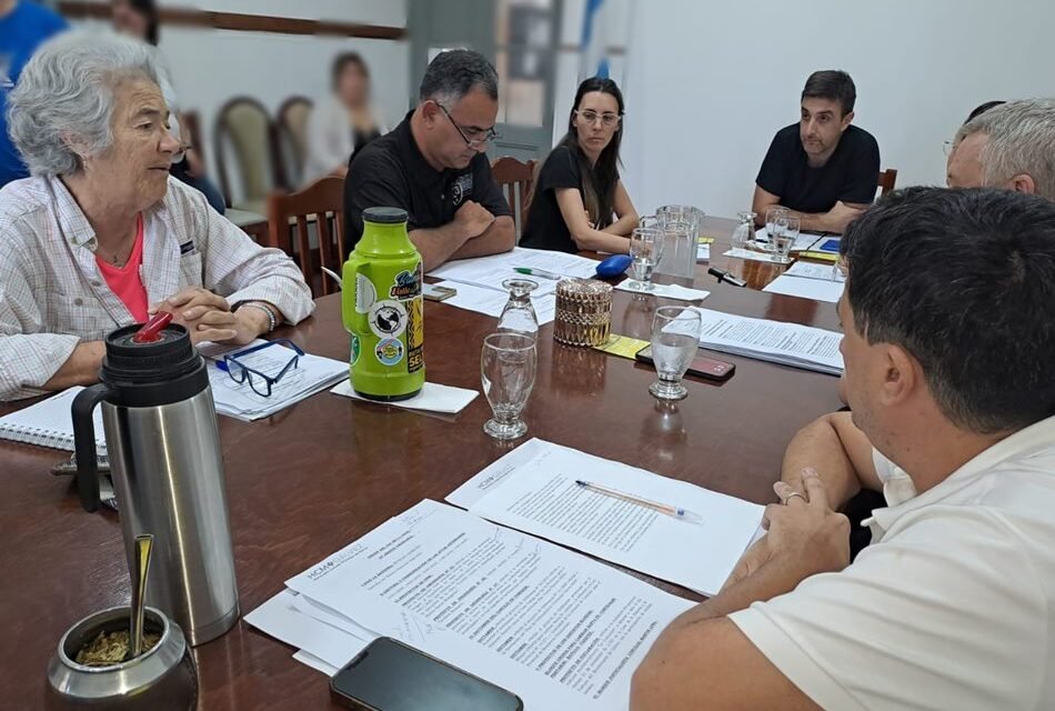 En votación dividida, el Concejo aprobó la sexta cuota de patente para el año próximo