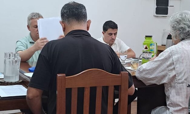 Los concejales Fantino y Luna explicaron por qué no aprobaron la sexta patente