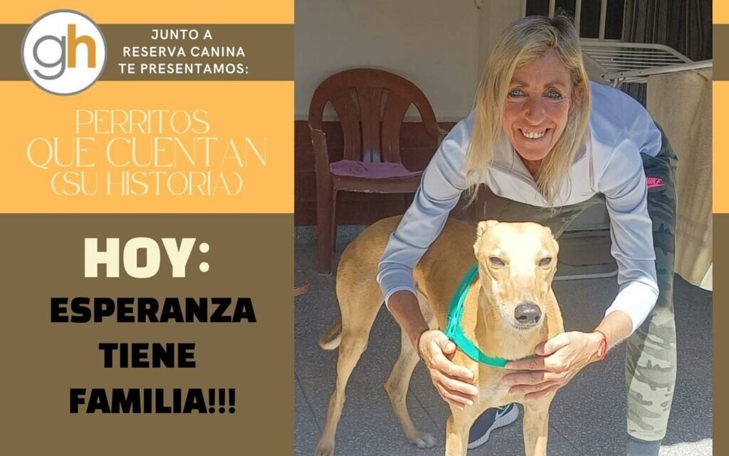 «El mayor acto de bondad, es darle una oportunidad a un perro rescatado»